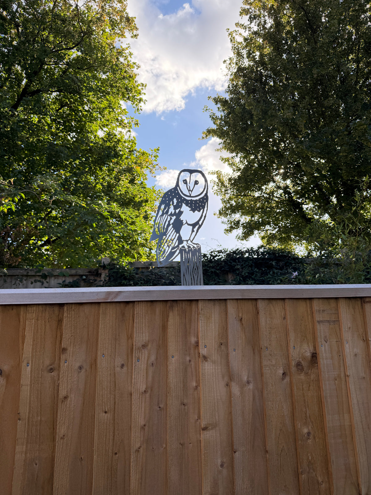 Barn Owl - Fence Topper