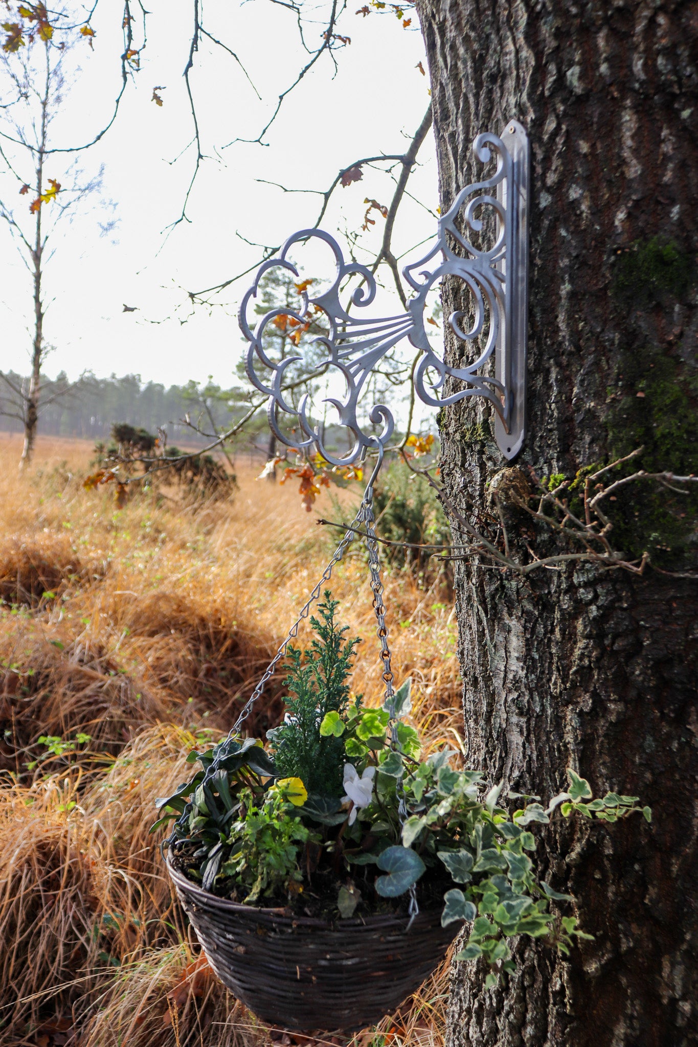 When The Wind Blows - Steel Garden Plant Hanger