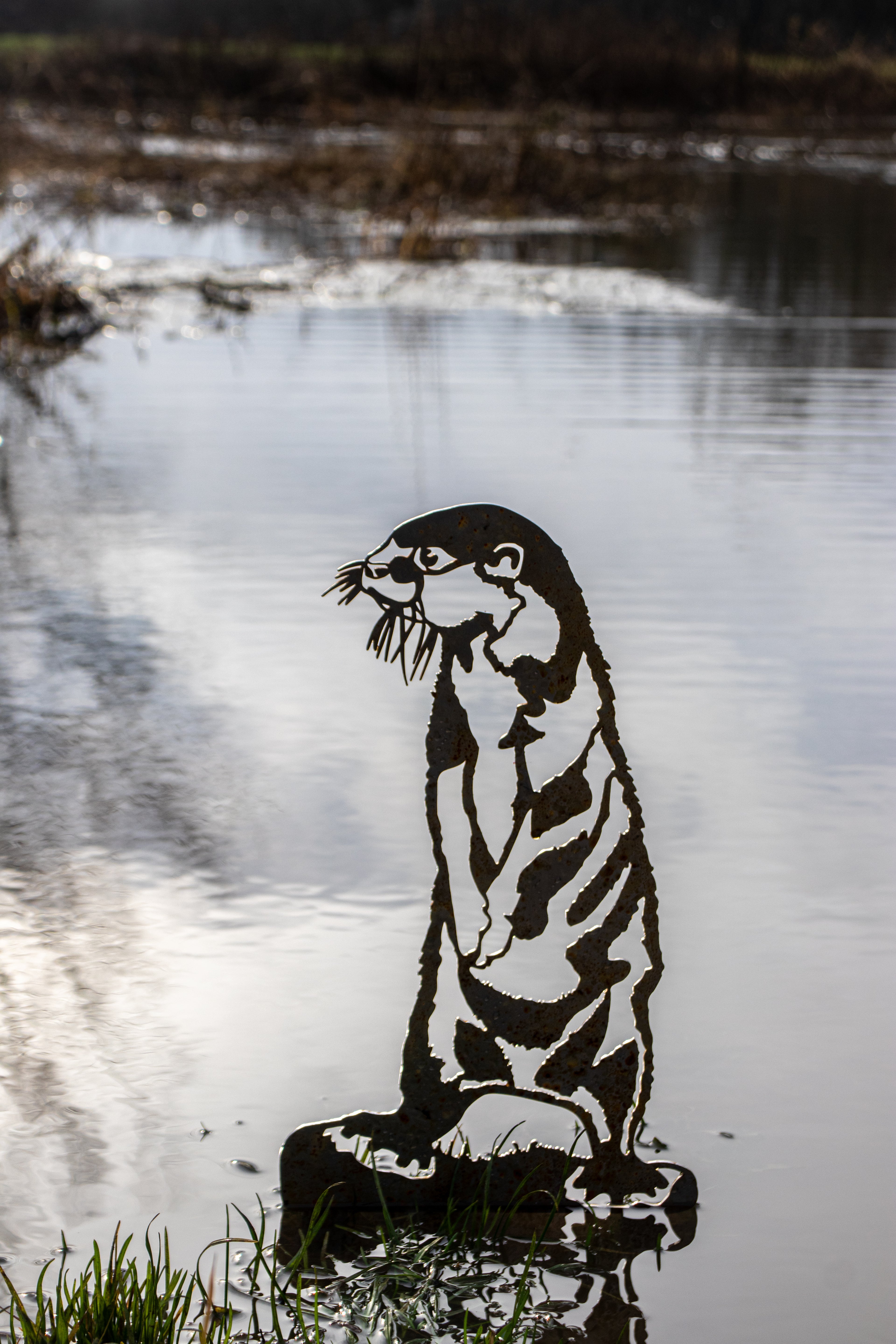 River Otter - Rusted Steel Garden Art.