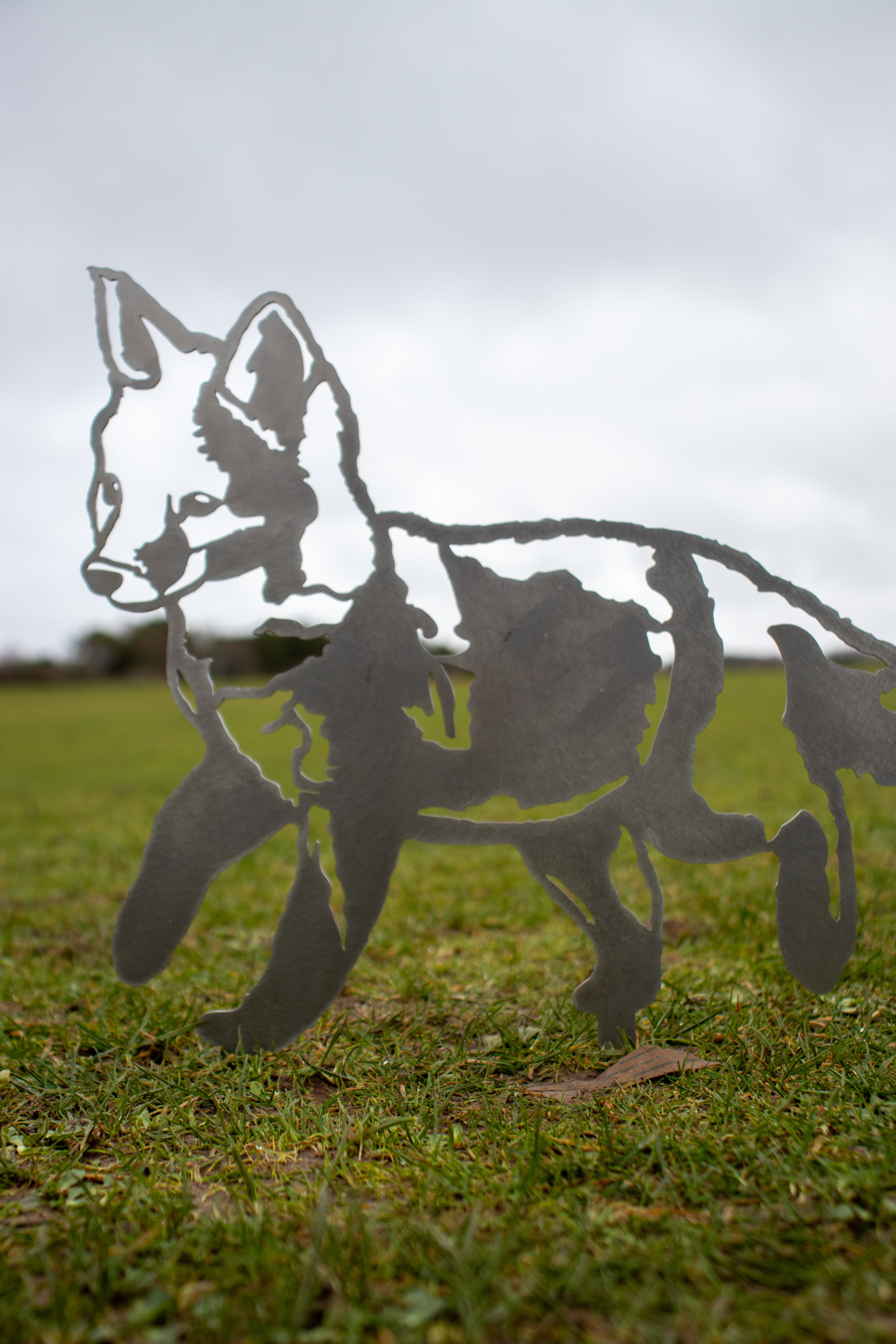 Standing Fox Cub