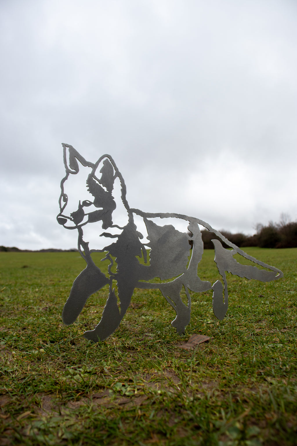 Standing Fox Cub