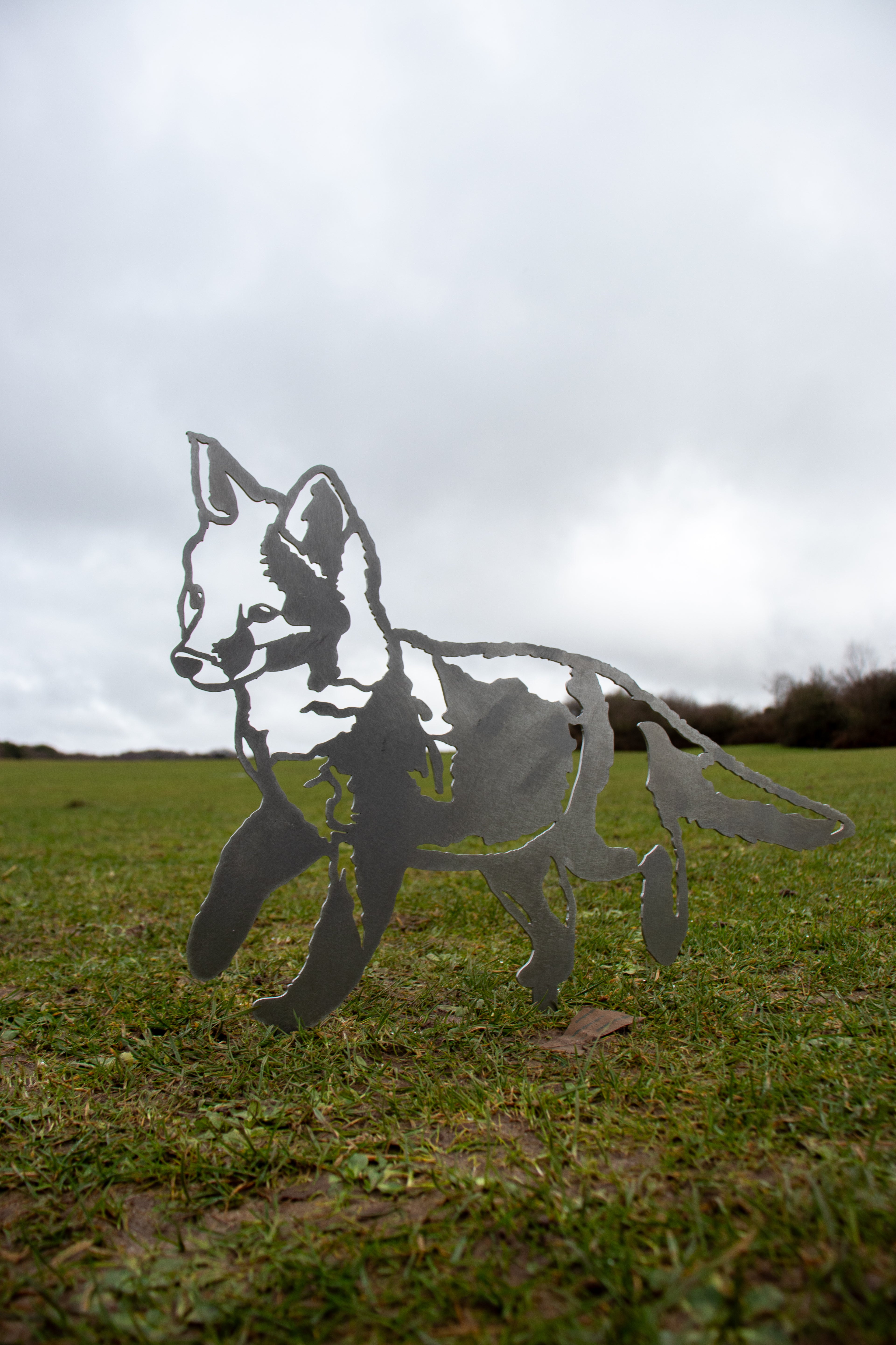 Standing Fox Cub
