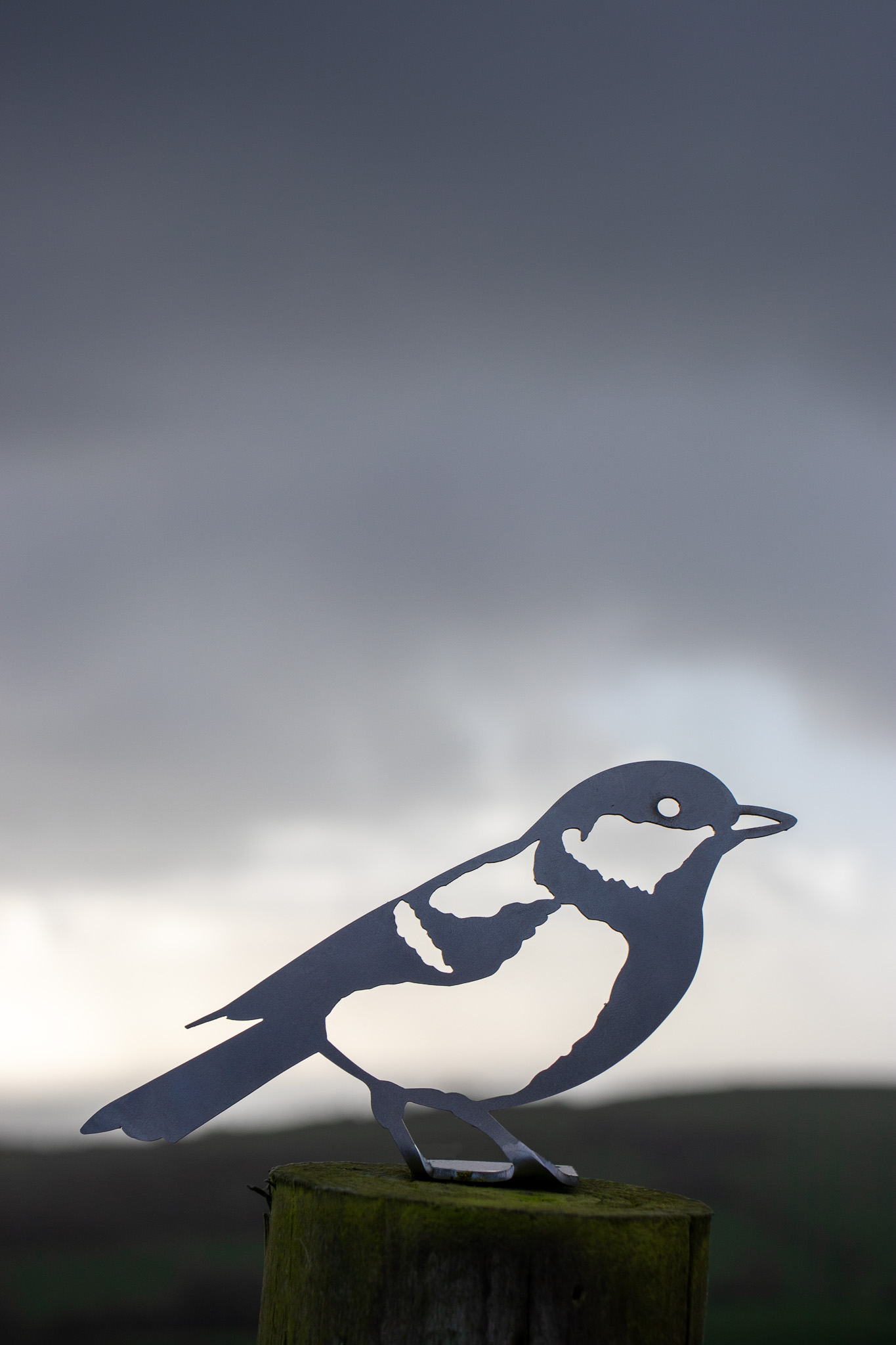 Great Tit - Steel Garden Art Fence Topper - Steel Studio