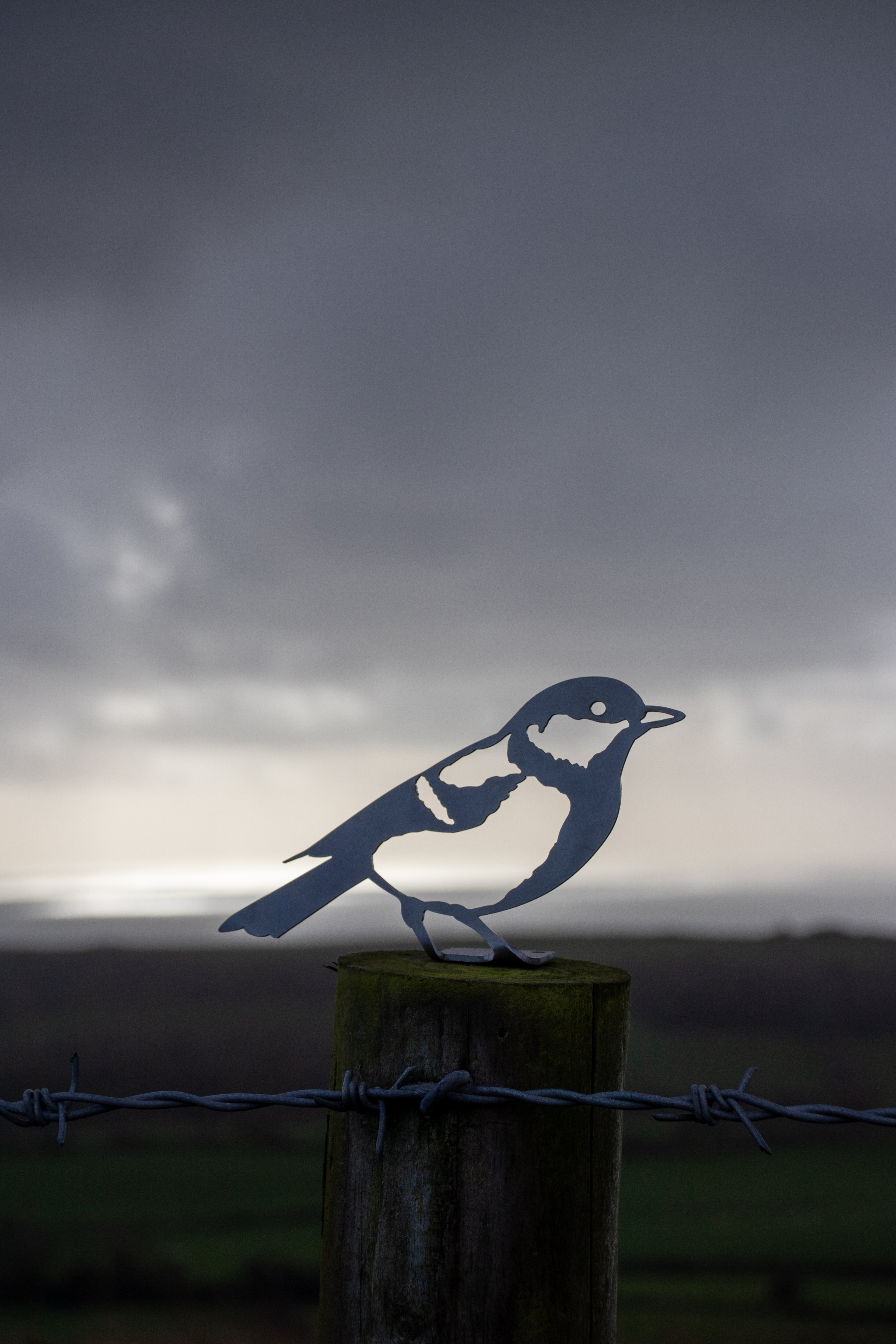 Great Tit - Steel Garden Art Fence Topper - Steel Studio