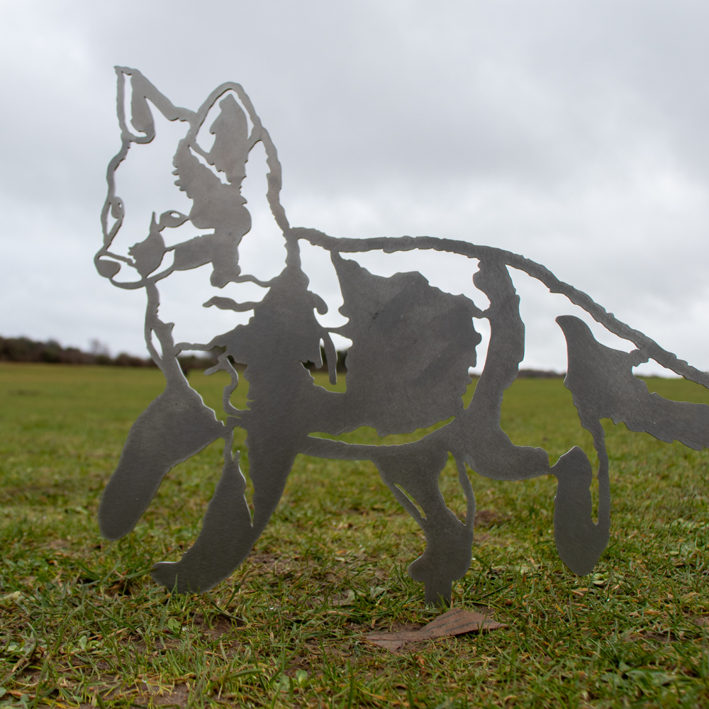 Standing Fox Cub
